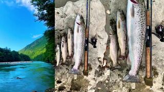 Дикая форель: где искать ручьи и какую приманку ставить