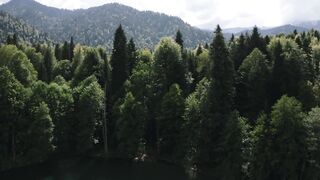 Ловля форели в озёрах Абхазии, уникальная популяция на высоте 2200 метров