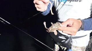 Абхазия (Abkhazia) озера и реки плюс море и спиннинг без лишнего шума