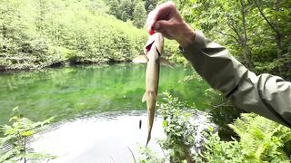 Абхазия (Abkhazia) озера и реки плюс море и спиннинг без лишнего шума