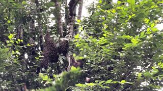 Абхазия (Abkhazia) озера и реки плюс море и спиннинг без лишнего шума