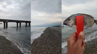 Абхазия 2023 Алахадзы - утренний спиннинг и поиск хищника у берега