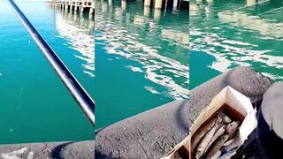 Абхазия короткий выезд у воды что реально поймать за пару часов