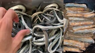 Абхазия море и лодка когда лучше выходить и что клюет по сезону