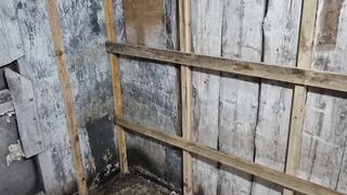 Гнездовые отсеки для голубей Таклам и Соло Каплана после смены пера