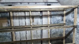 Гнездовые отсеки для голубей Таклам и Соло Каплана после смены пера