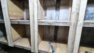 Гнездовые отсеки для голубей Таклам и Соло Каплана после смены пера