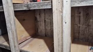 Гнездовые отсеки для голубей Таклам и Соло Каплана после смены пера