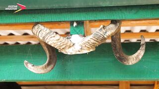 31.01.2026 прогулка по Нысантæ зимний день и мысли о рыбалке