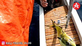 AMED BALI традиционная рыбалка по балийски как выходят в море и возвращаются