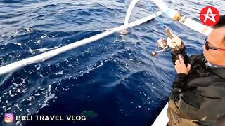 AMED BALI традиционная рыбалка по балийски как выходят в море и возвращаются