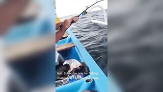 Amed (Амед) Bali приключение и веселье на воде стоит подписываться или нет