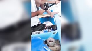 Amed (Амед) Bali приключение и веселье на воде стоит подписываться или нет