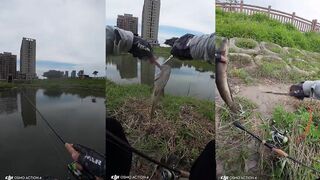 20250517 China ShenZhen 深圳 lure daidai fish что это за рыба и на что ловили?