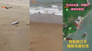 морская рыбалка на 阳光沙滩 - как выбрать точку под большую рыбу с детьми