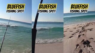 One of the best fishing spot in Oman where you can catch bluefish #blue #fishing #fish #angler