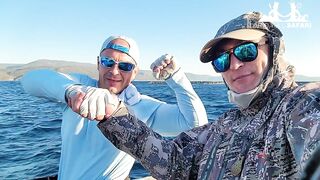 Турция тунец - если утащит то вместе с катером проверка прочности