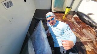 Турция тунец - если утащит то вместе с катером проверка прочности