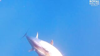 Турция тунец - если утащит то вместе с катером проверка прочности