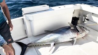 Turkey (Турция) тунец больше человека как держат рыбу и чем заканчивается бой