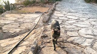 Турция, морская рыбалка рокфишинг и микроджиг без скуки