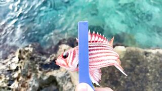 Турция, морская рыбалка рокфишинг и микроджиг без скуки