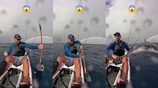 Köpek Balığı Saldırısı - где это случилось и как реагировать правильно?