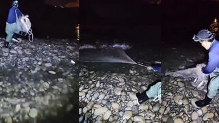 Serpme ile balık avı #keşfet #fishing #shortvideo