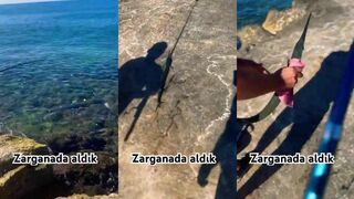 Alanya (Аланья) zargana у пирса и быстрые атаки на легкий спиннинг