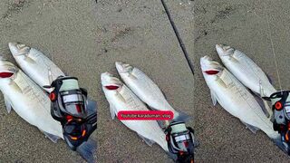 ALANYA (Аланья) levrek 2024 первый levrek и финальный выход года без суеты