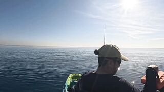 Antalya Konyaaltı рыбалка с каяка и мой рекордный трофей