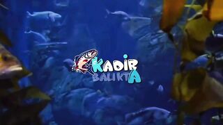 Konyaaltı Antalya джиг ловим amberjack и yazılı orkinos морская рыбалка на силовой снасти