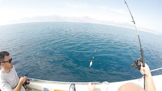 Antalya (Анталья) - турецкая ловля на море без лишних слов и без рекламы