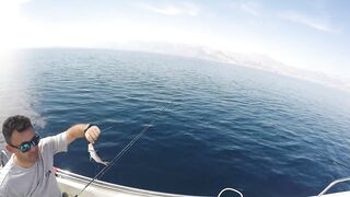 Antalya (Анталья) - турецкая ловля на море без лишних слов и без рекламы