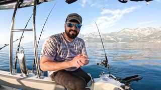 Antalya (Анталья) рекордный день попал на миграцию dev balık и сломал свой максимум