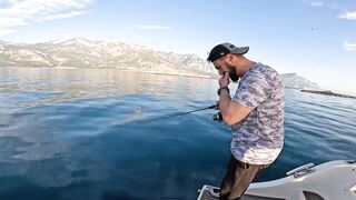 Antalya (Анталья) рекордный день попал на миграцию dev balık и сломал свой максимум