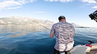 Antalya (Анталья) рекордный день попал на миграцию dev balık и сломал свой максимум