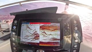 Antalya (Анталья) рекордный день попал на миграцию dev balık и сломал свой максимум