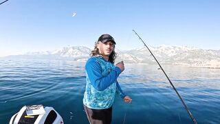 Antalya (Анталья) рекордный день попал на миграцию dev balık и сломал свой максимум