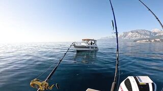 Antalya (Анталья) рекордный день попал на миграцию dev balık и сломал свой максимум