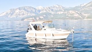 Antalya (Анталья) рекордный день попал на миграцию dev balık и сломал свой максимум