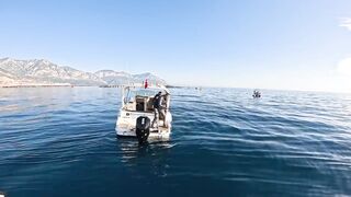 Antalya (Анталья) рекордный день попал на миграцию dev balık и сломал свой максимум