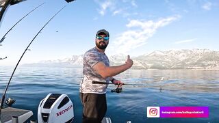 Antalya (Анталья) рекордный день попал на миграцию dev balık и сломал свой максимум