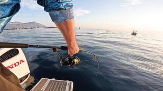 Antalya (Анталья) рекордный день попал на миграцию dev balık и сломал свой максимум