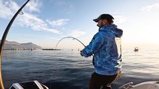 Antalya (Анталья) рекордный день попал на миграцию dev balık и сломал свой максимум