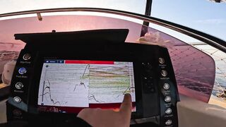 Antalya (Анталья) рекордный день попал на миграцию dev balık и сломал свой максимум