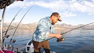 Antalya (Анталья) рекордный день попал на миграцию dev balık и сломал свой максимум