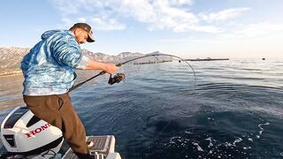 Antalya (Анталья) рекордный день попал на миграцию dev balık и сломал свой максимум