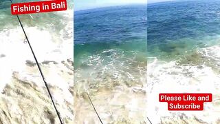 Bali/Бали кристальная вода и тропическая ловля у рифа без фильтров