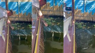 Rawai Phuket Пхукет monster fishing в THAILAND морская рыбалка и силовой вываживание